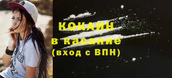 сатива Няндома