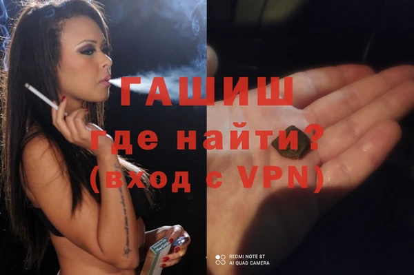 сатива Няндома