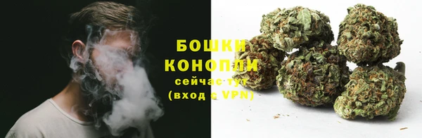 сатива Няндома