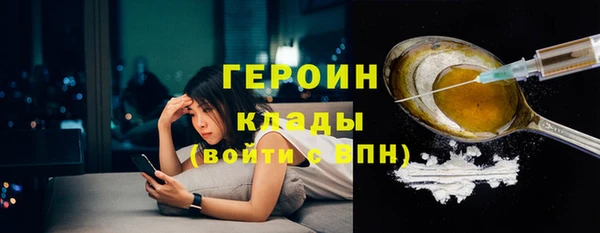 сатива Няндома