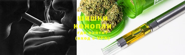 сатива Няндома