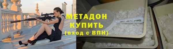сатива Няндома