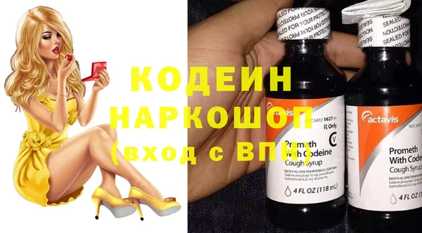 сатива Няндома