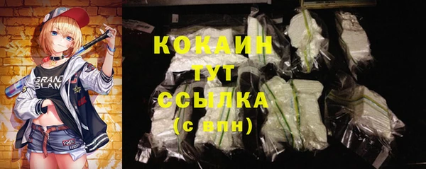 сатива Няндома