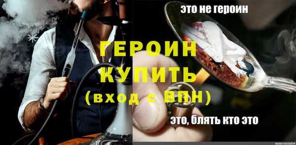 сатива Няндома
