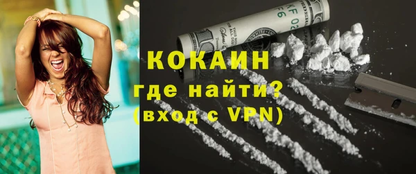 сатива Няндома