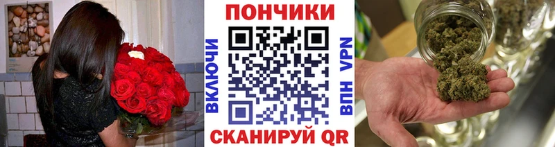 Каннабис OG Kush  Собинка 